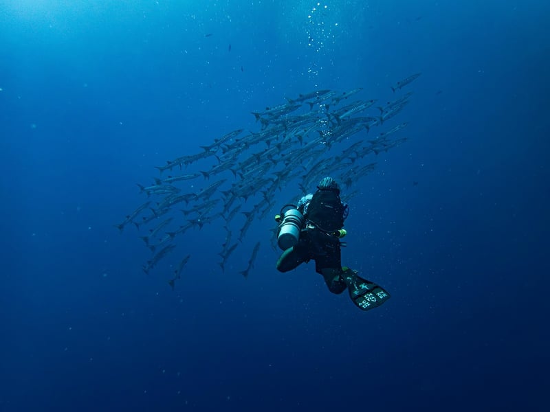 Snorkeling